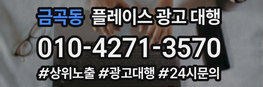 금곡동 플레이스 광고 대행
