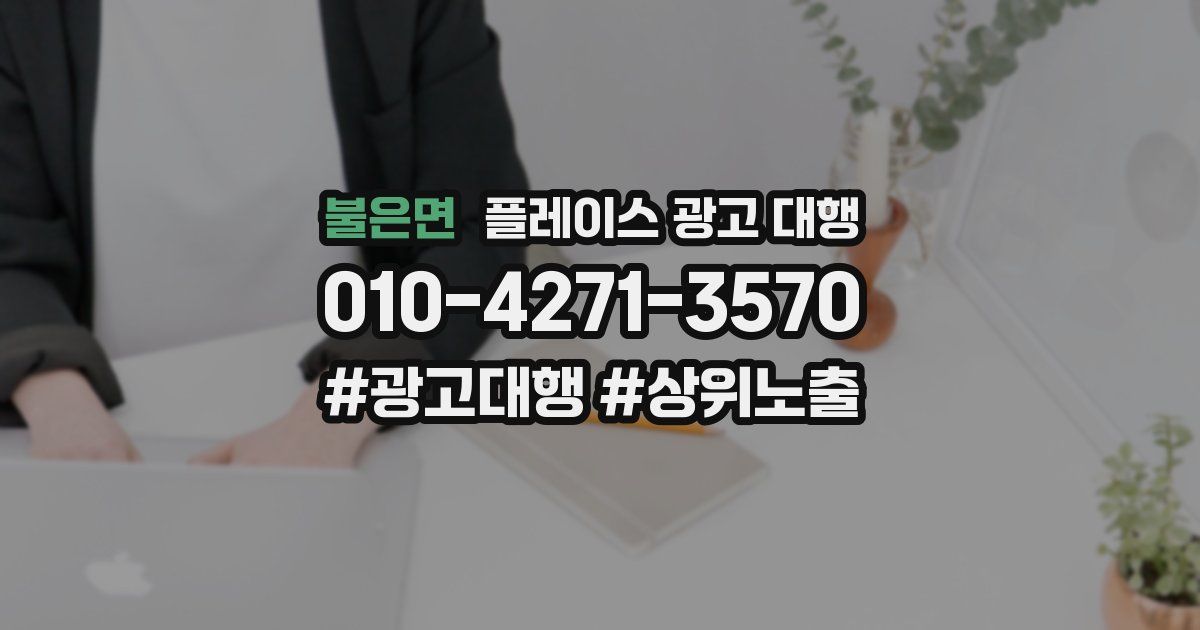 불은면 플레이스 광고 대행