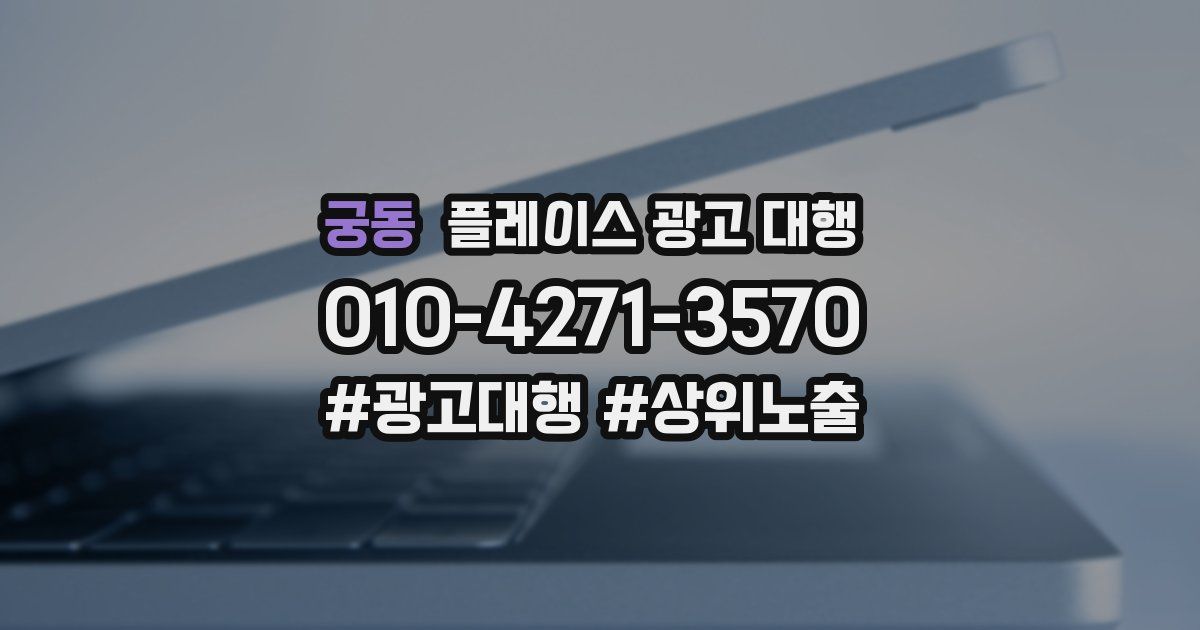 궁동 플레이스 광고 대행