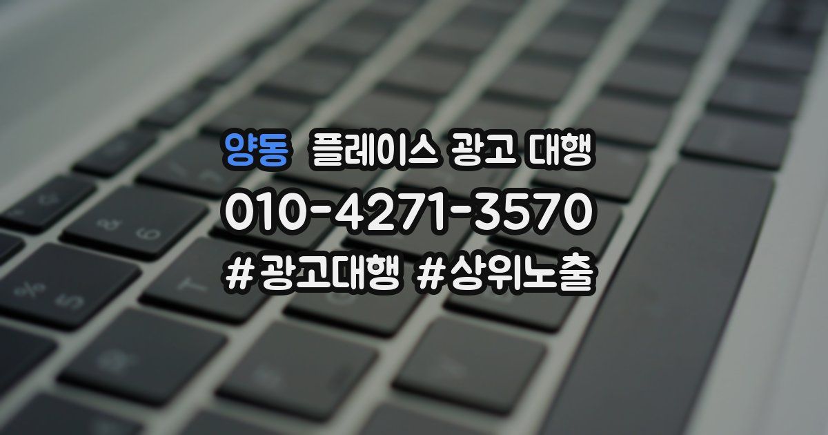 양동 플레이스 광고 대행