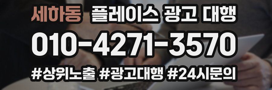 세하동 플레이스 광고 대행