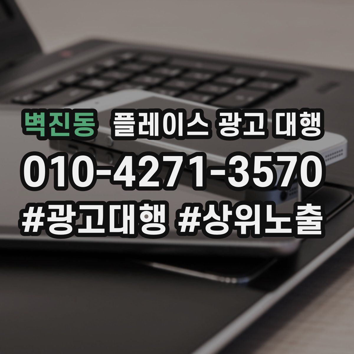 벽진동 플레이스 광고 대행