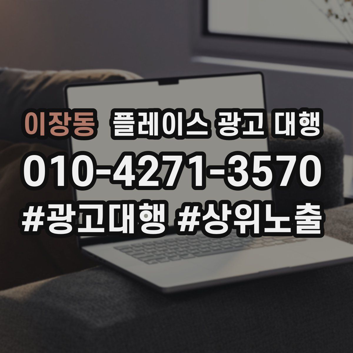 이장동 플레이스 광고 대행