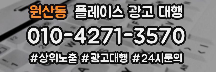 원산동 플레이스 광고 대행