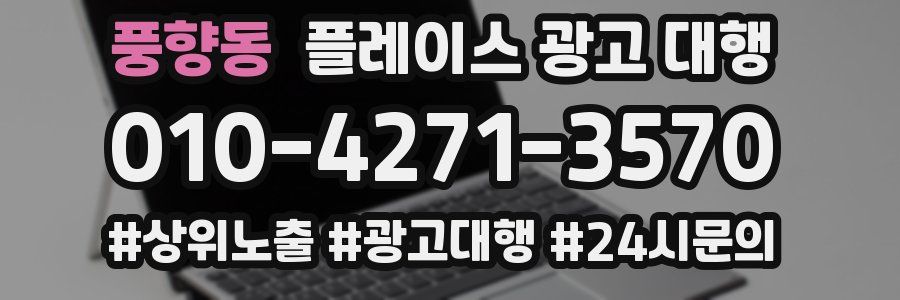 풍향동 플레이스 광고 대행