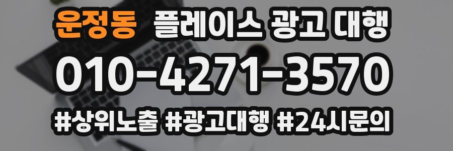 운정동 플레이스 광고 대행