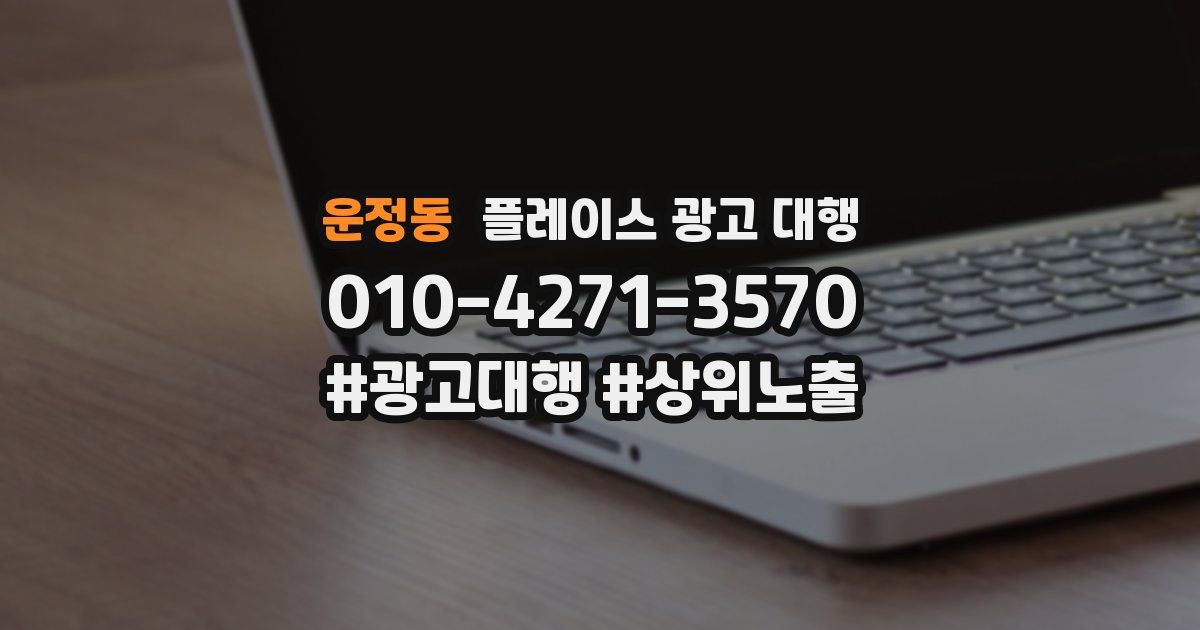 운정동 플레이스 광고 대행