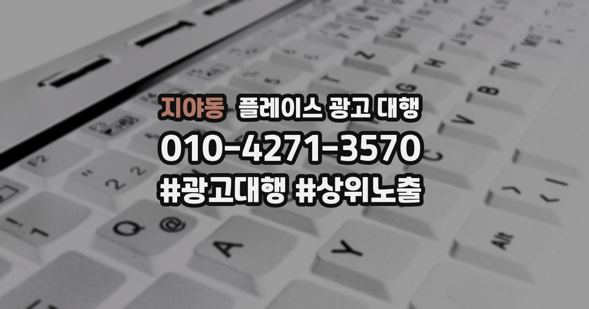 지야동 플레이스 광고 대행