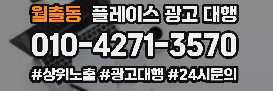 월출동 플레이스 광고 대행