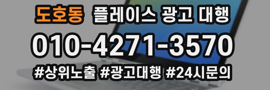 도호동 플레이스 광고 대행