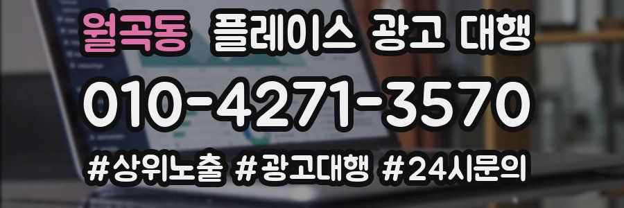 월곡동 플레이스 광고 대행