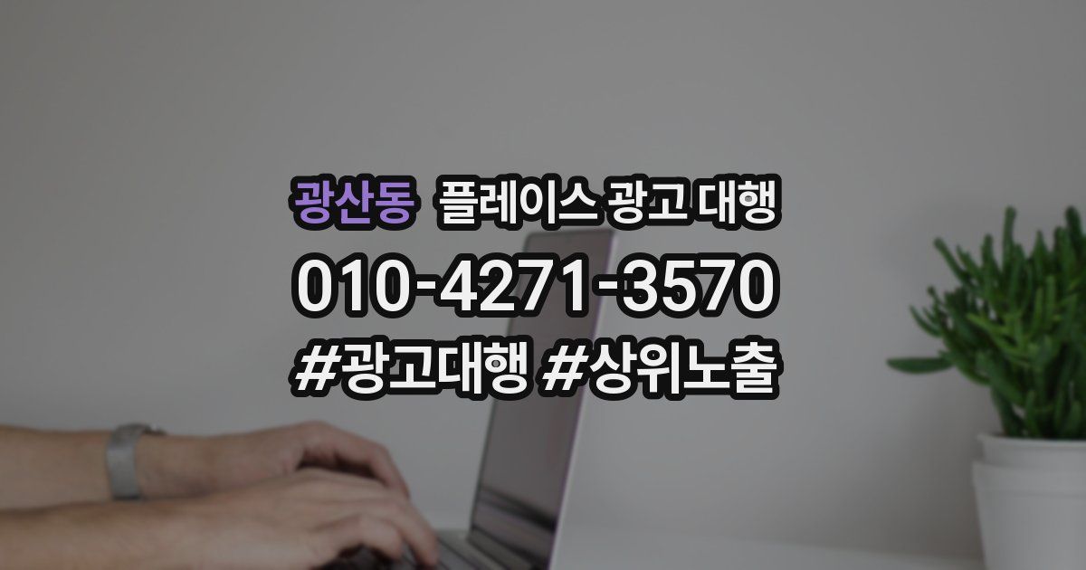 광산동 플레이스 광고 대행