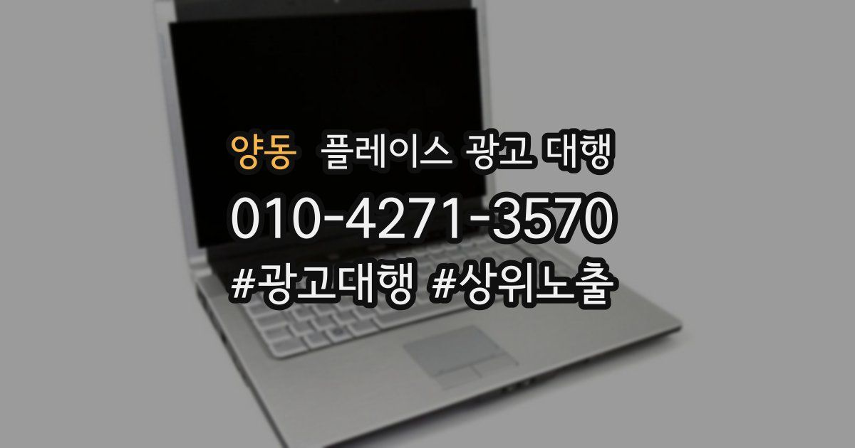 양동 플레이스 광고 대행