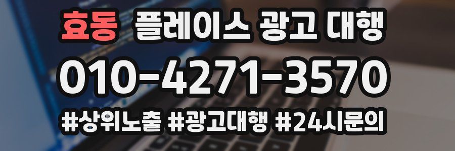 효동 플레이스 광고 대행