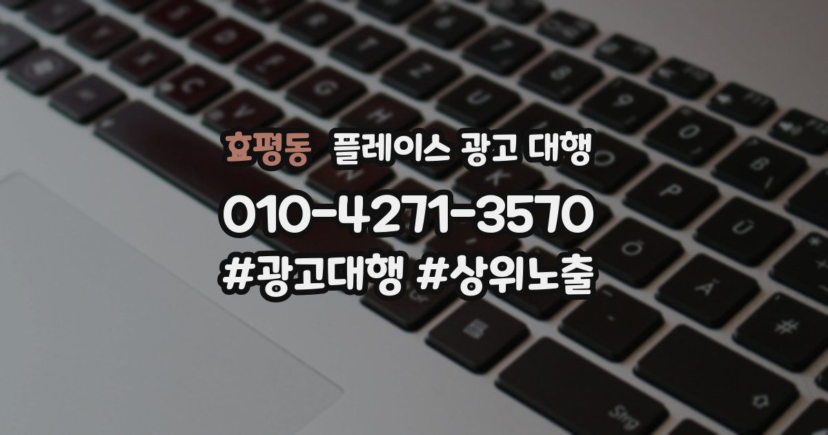 효평동 플레이스 광고 대행