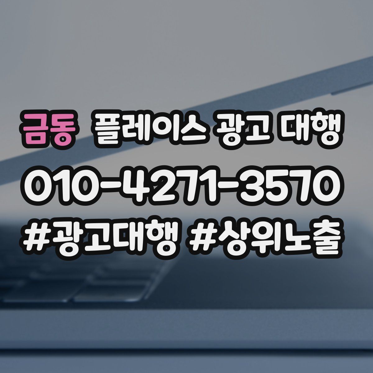 금동 플레이스 광고 대행