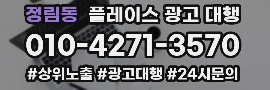 정림동 플레이스 광고 대행