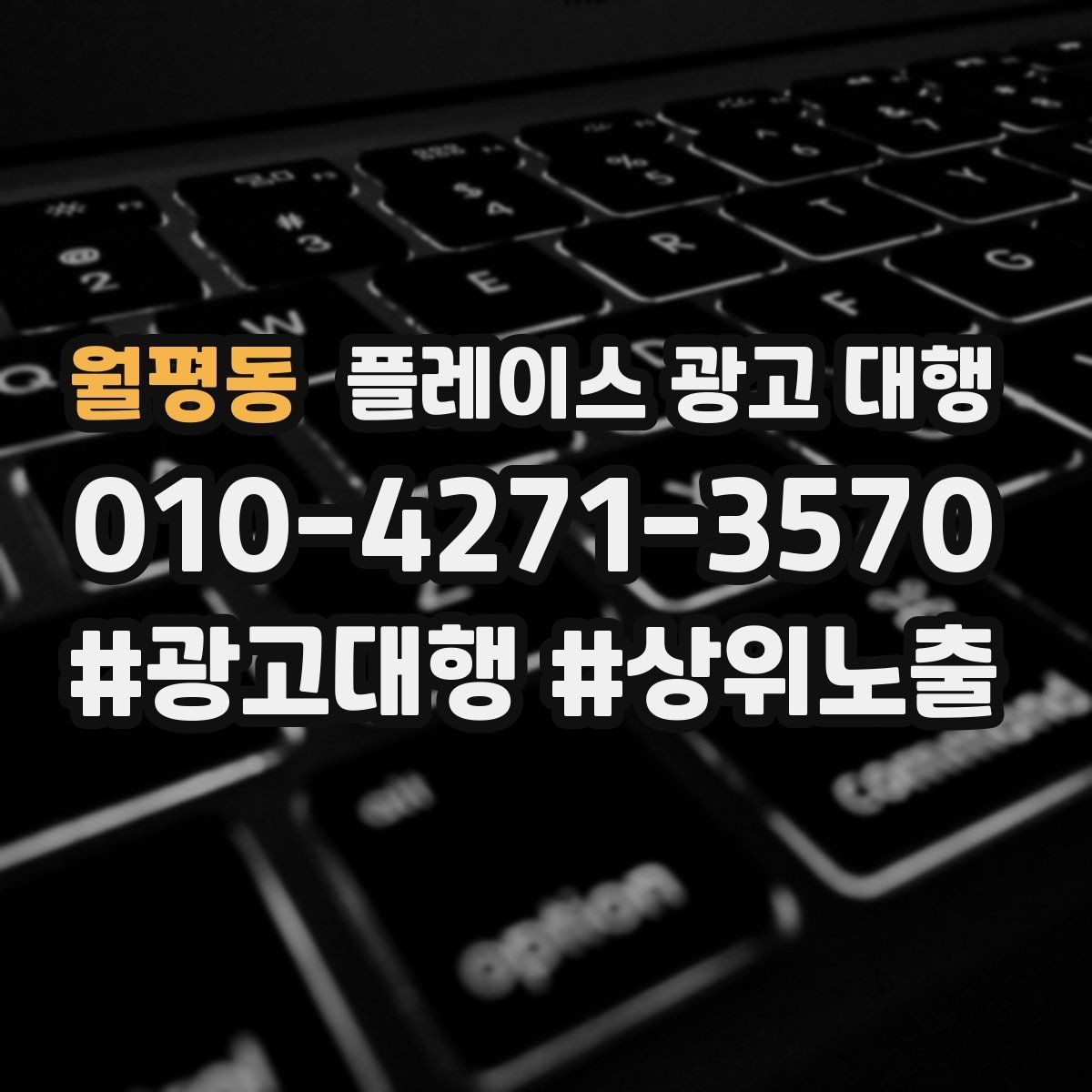 월평동 플레이스 광고 대행 관리 포인트와 운영 팁