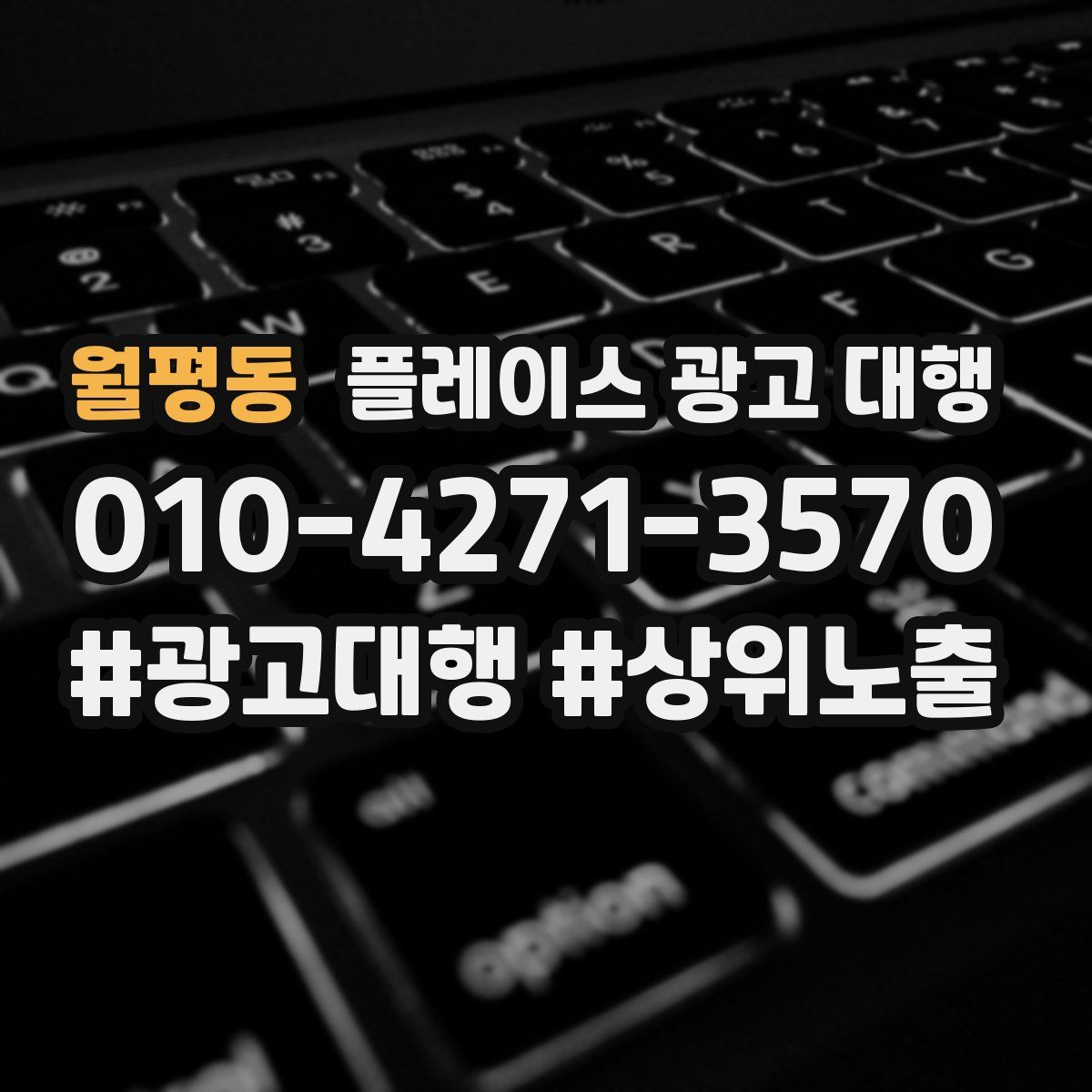 월평동 플레이스 광고 대행