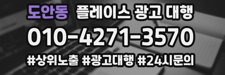 도안동 플레이스 광고 대행