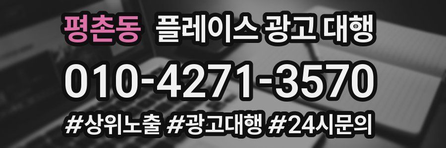 평촌동 플레이스 광고 대행