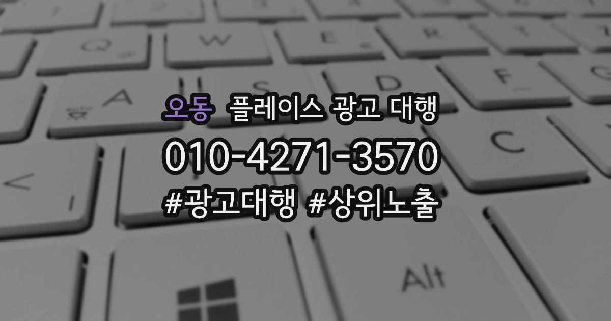 오동 플레이스 광고 대행
