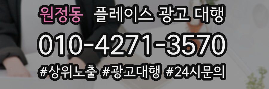 원정동 플레이스 광고 대행