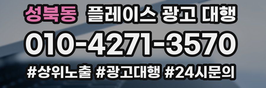 성북동 플레이스 광고 대행