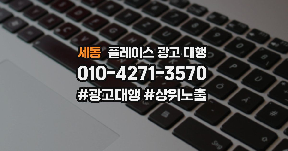 세동 플레이스 광고 대행