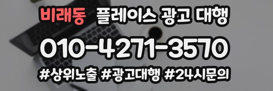 비래동 플레이스 광고 대행
