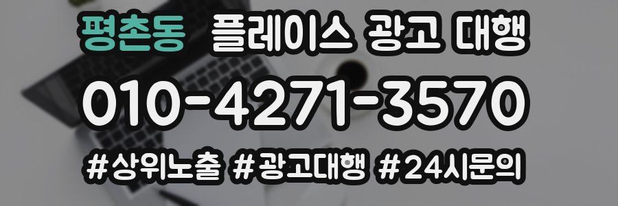 평촌동 플레이스 광고 대행