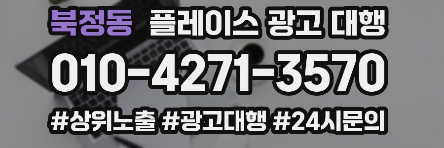 북정동 플레이스 광고 대행