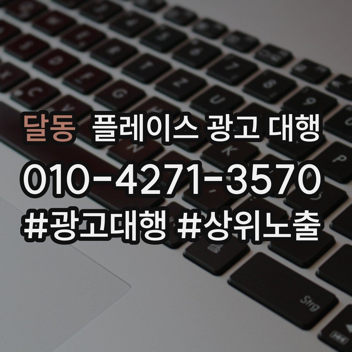 달동 플레이스 광고 대행 업체 비교할 때 보는 부분