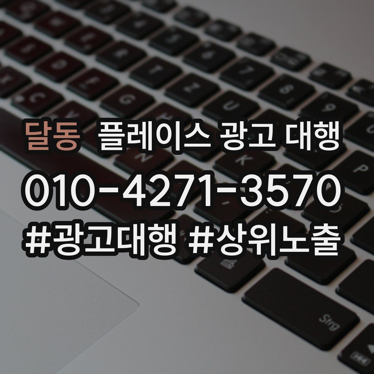 달동 플레이스 광고 대행