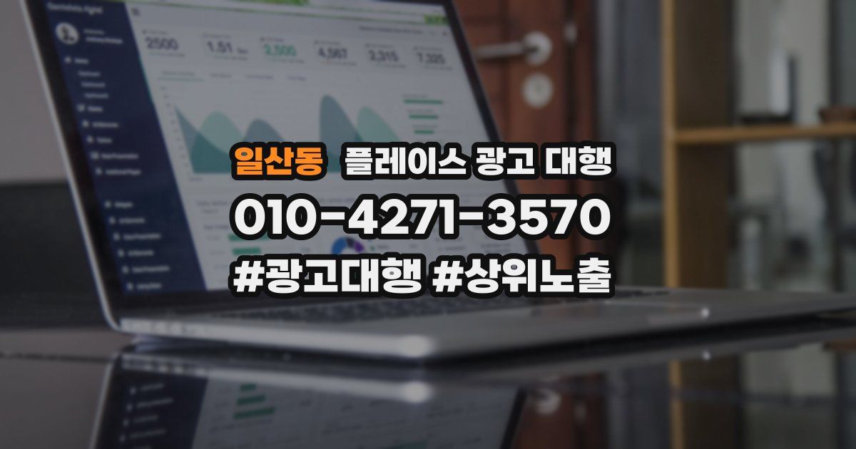 일산동 플레이스 광고 대행