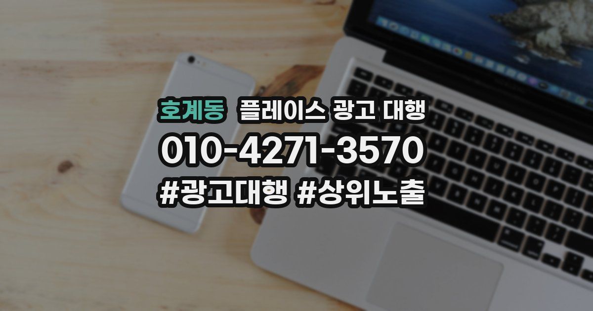 호계동 플레이스 광고 대행
