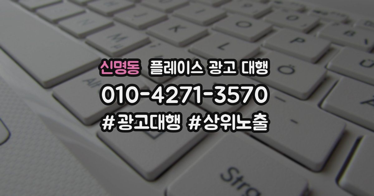 신명동 플레이스 광고 대행