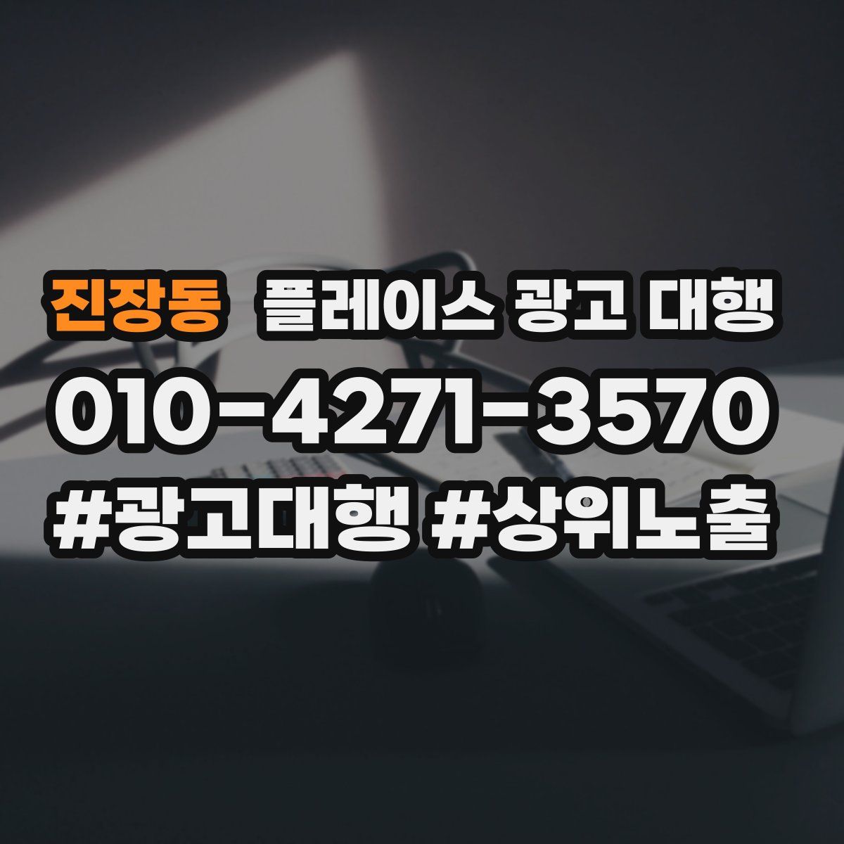 진장동 플레이스 광고 대행