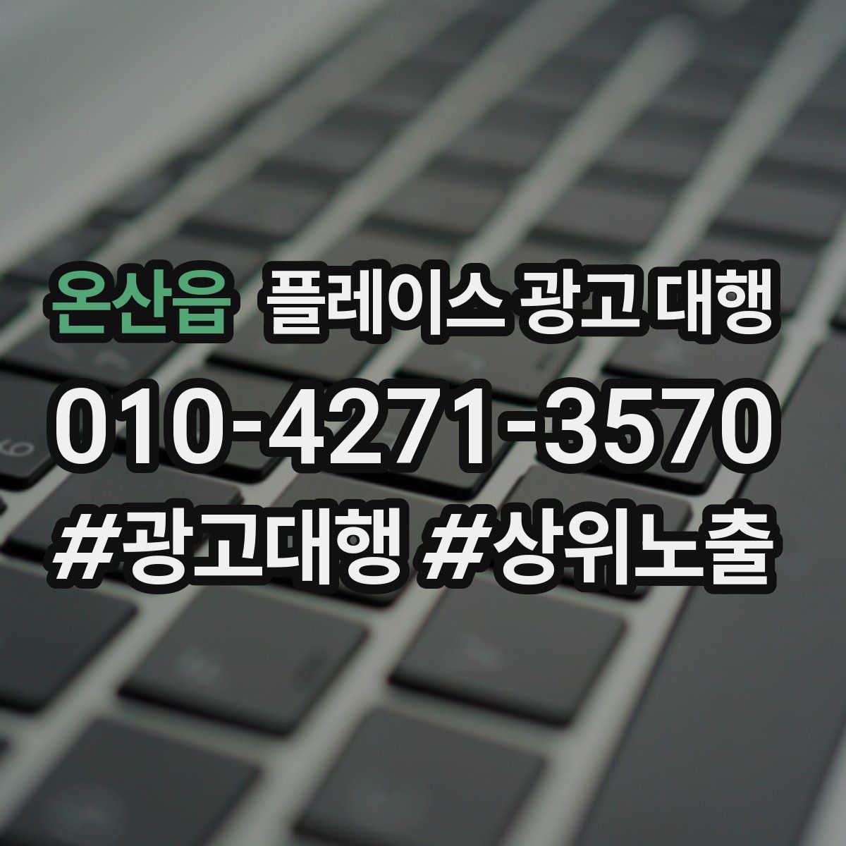 온산읍 플레이스 광고 대행