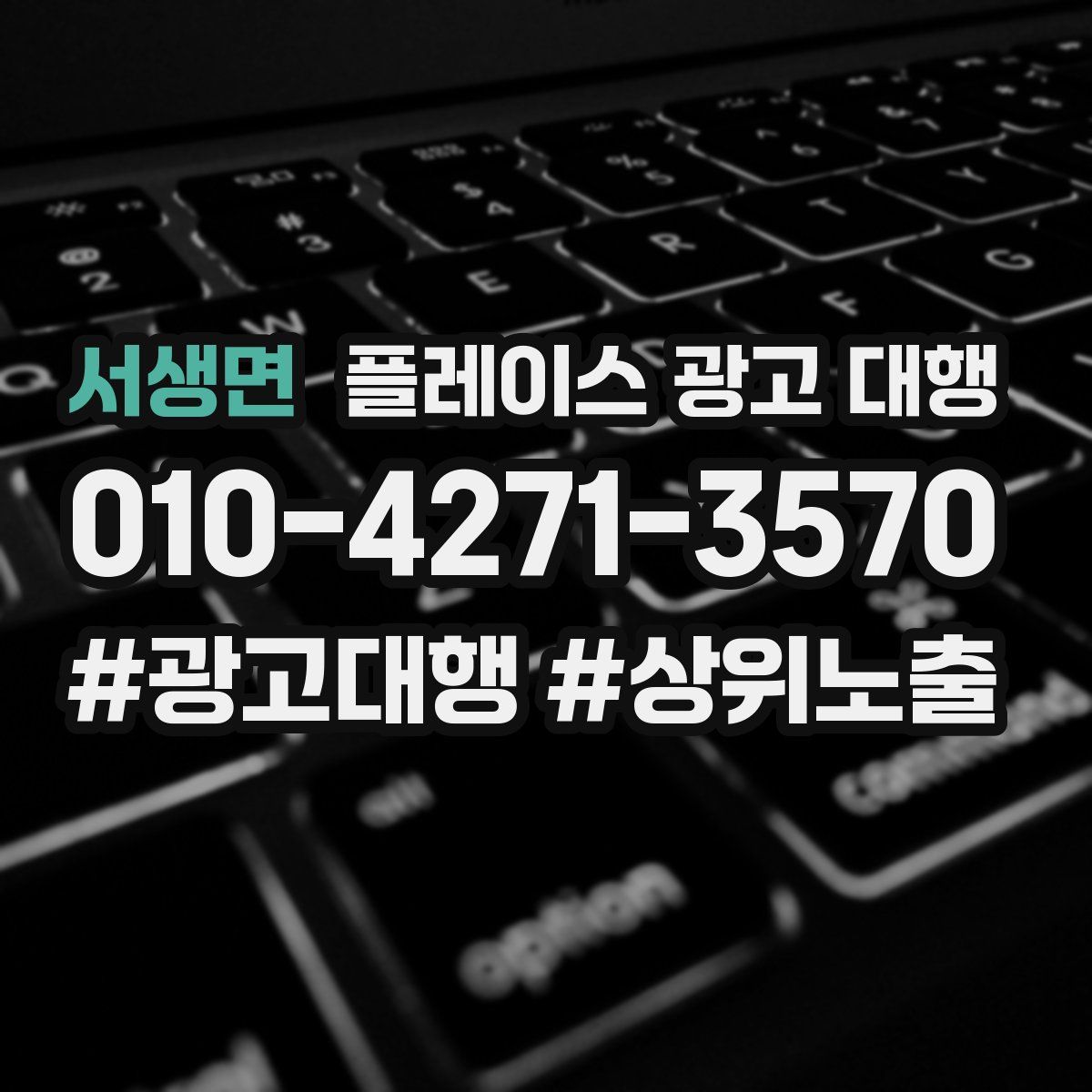 서생면 플레이스 광고 대행
