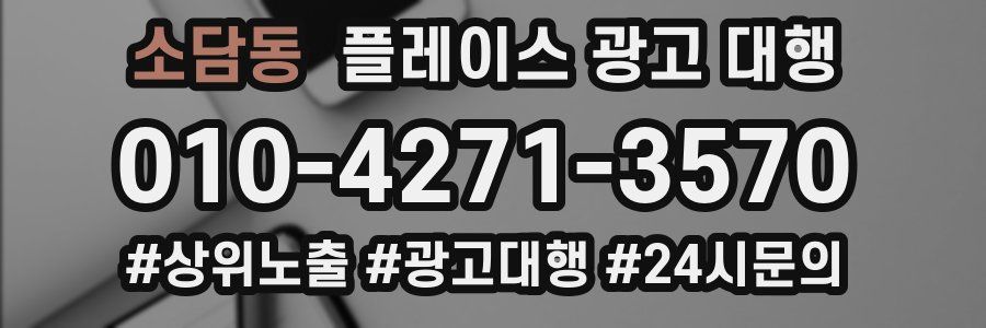 소담동 플레이스 광고 대행