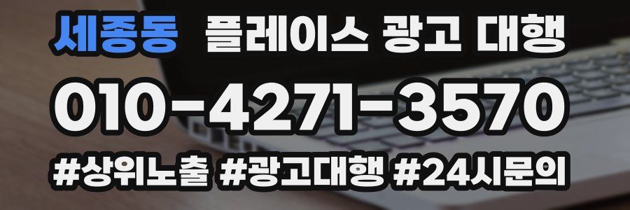 세종동 플레이스 광고 대행