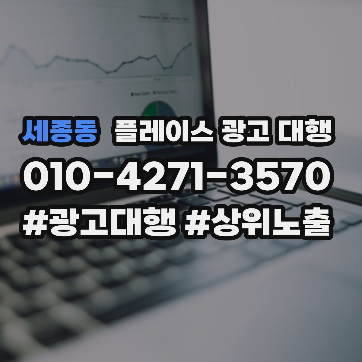 세종동 플레이스 광고 대행