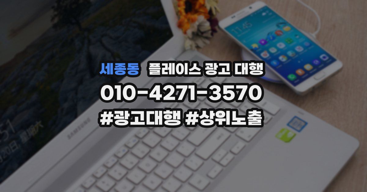 세종동 플레이스 광고 대행