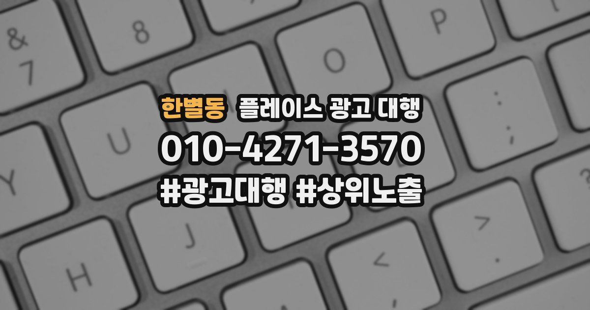 한별동 플레이스 광고 대행