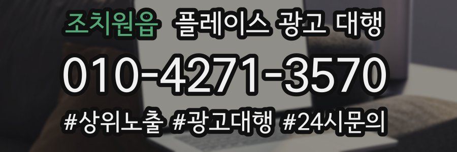 조치원읍 플레이스 광고 대행