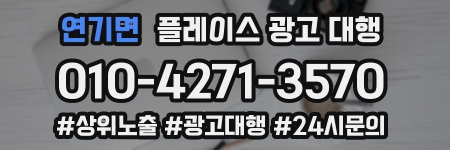 연기면 플레이스 광고 대행