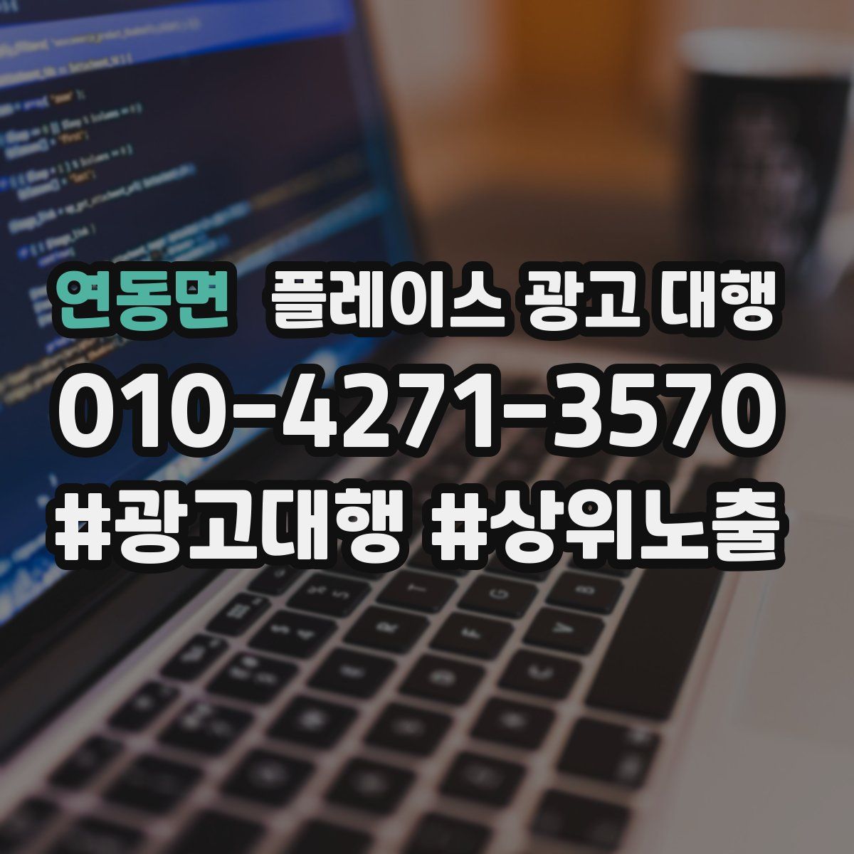 연동면 플레이스 광고 대행