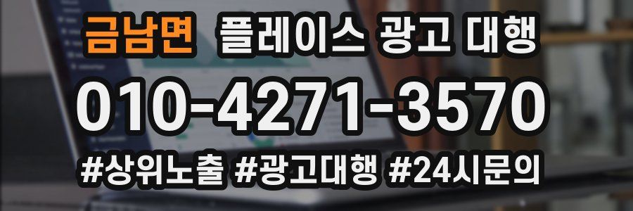 금남면 플레이스 광고 대행