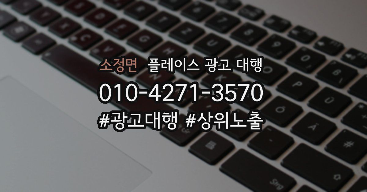 소정면 플레이스 광고 대행